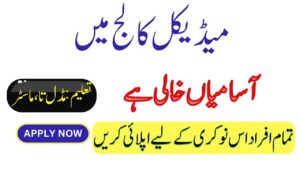 New Jobs in Medical College Bahawalpur 2023