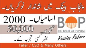 Bank of Punjab 2