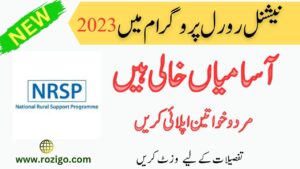 Latest Jobs in NRSP 2023 / National Rural Support Programme Jobs