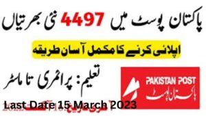 Latest jobs in Post Office Islamabad 2023 | Apply Online in Post Officer