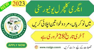 Amazing Jobs at Agricultural University Dera Ismail Khan 2023