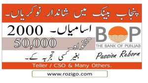 Latest Jobs in Bank of Punjab 2023/ Apply online in BOP 2023