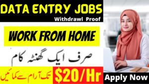 Latest Top 05 Data entry Online Jobs in Pakistan 2023