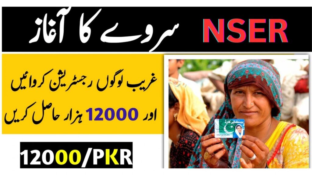 Benazir income support program online