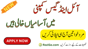 Oil and Gas Development Company OGDCL November Jobs 2023