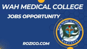 Latest Jobs in Pak International Medical College Peshawar 2023