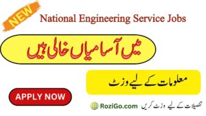 Latest Jobs in National Engineering Service Pakistan NESPAK 2023