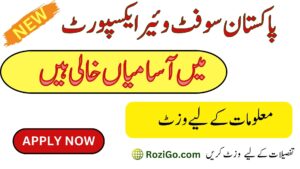 Latest Jobs in Pakistan Software Export Board PSEB 2023