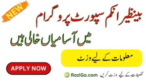 Latest Jobs in Benazir Income Support Programm 2023