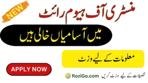 Latest Jobs in Human Rights Department 2023