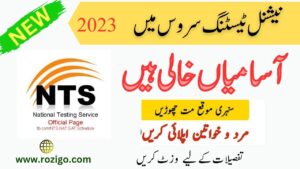 Latest Jobs in NTS 2023 – Apply online National Testing Services 2023