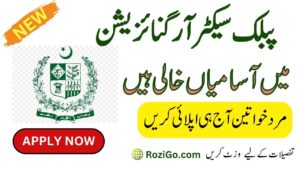 Amazing Jobs in Public sector Organizations Karachi 2023