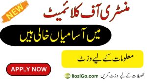 Latest Jobs in the Ministry of Narcotics Control 2023 Advertisement Application Form