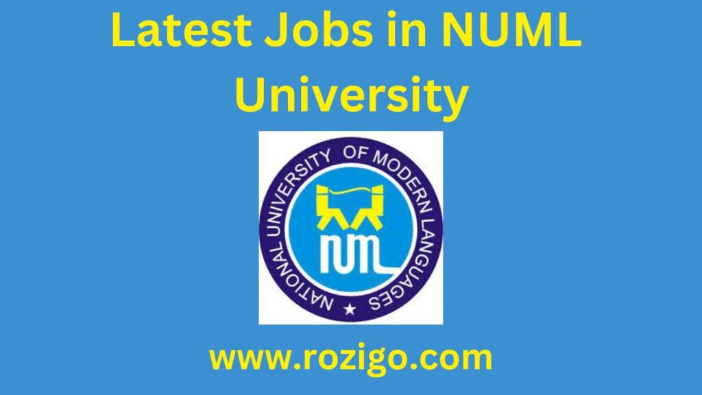 Latest Jobs at NUML University