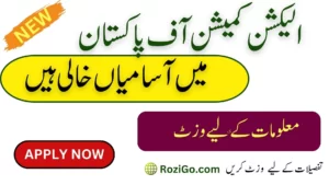 Latest Jobs in Election Commission Of Pakistan 2023