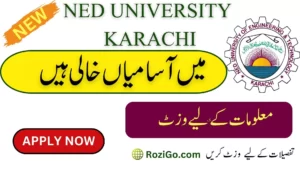 Latest Jobs at NED University of Engineering and Technology  2023