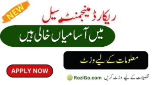 Latest Jobs in Record Management Cell Karachi 2023