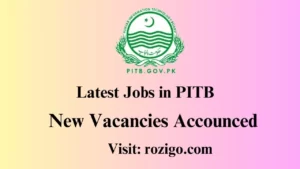 Latest Jobs in Pakistan Information Technology Board 2023