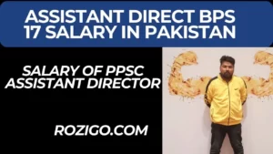 Salary Detail of Assistant Director BPS 17 Latest