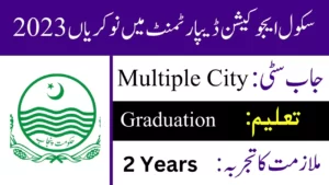 School Education Department Punjab PMIU Jobs 2023