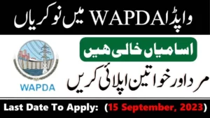 Today Lecturer jobs in Wapda For Male and Female September 2023