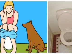 Why Does My Dog Follow Me Into the Bathroom? | 8 Reasons
