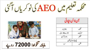 Area Education Officer AEO Jobs 2023 in Federal Directorate of Education