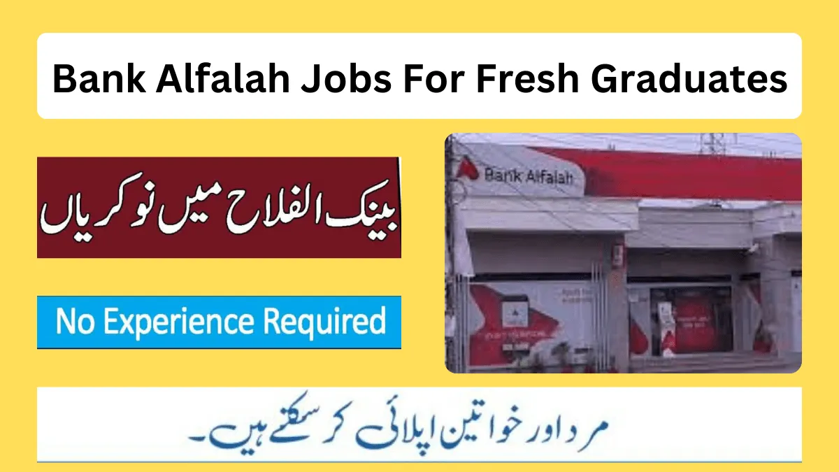 Bank Alfalah Fresh Graduates Jobs