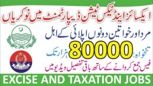 Punjab Excise and Taxation Foundation Jobs 2024| Advertisement