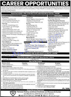 Latest PKLI Jobs in Lahore 2024
