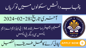 Punjab Daanish Schools Jobs