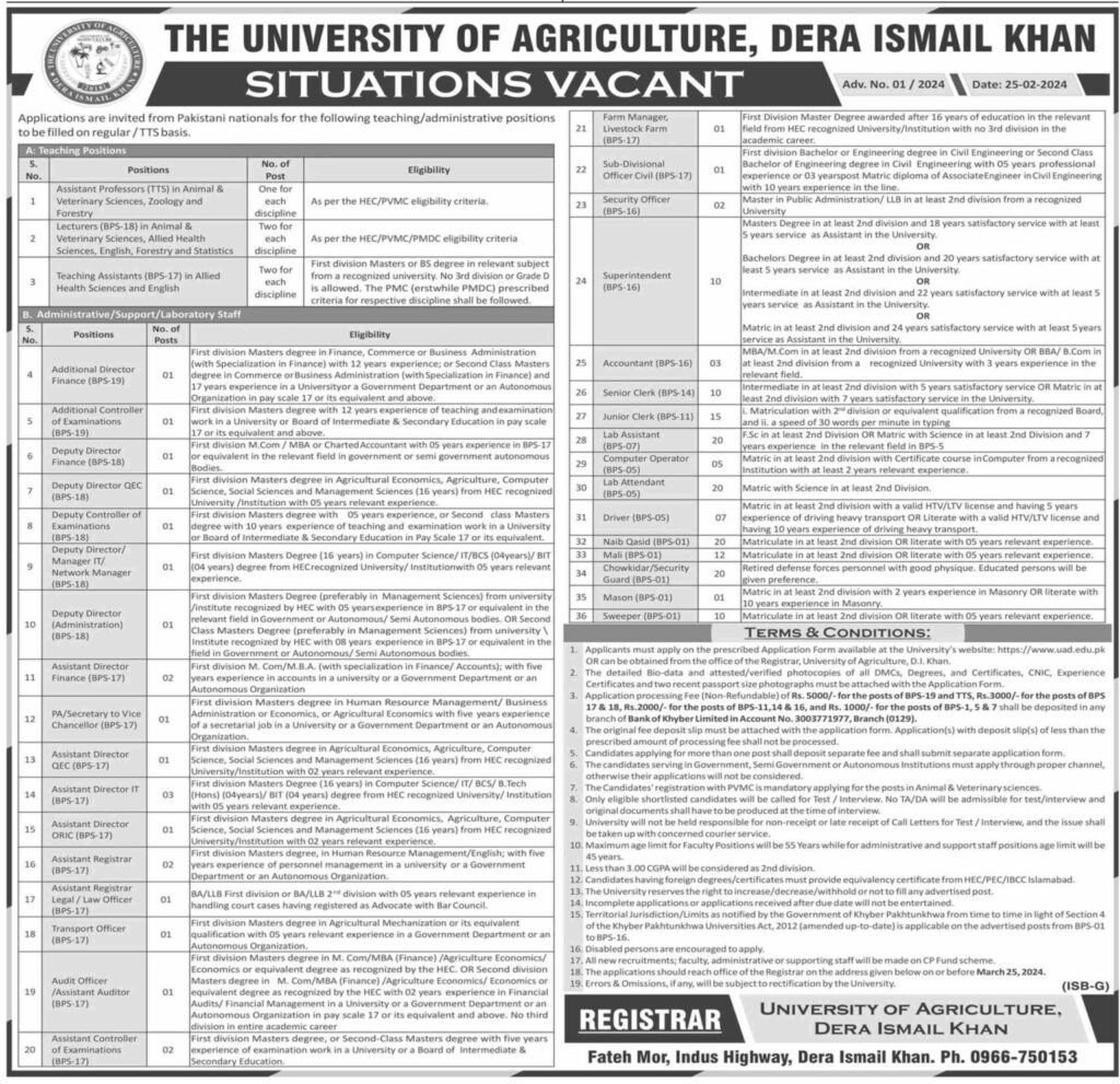 University Of Agriculture Dera Ismail Khan Jobs 2024