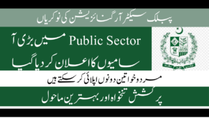 Public Sector Organization Jobs 202