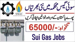 Sui Southern Gas Company Limited SSGC Jobs 2024