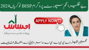 BISP Jobs 2024 Benazir Income Support Program| Online Apply