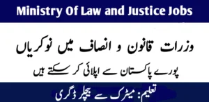 Ministry of Law and Justice Jobs 2024