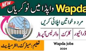 Latest WAPDA Jobs 2024 Advertisement Application Form
