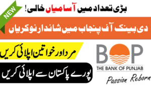 Bank Of Punjab Jobs 2024 || BOP Jobs 2024 || Online Apply