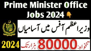 Prime Minister Inspection Commission Jobs 2024 || Apply Now