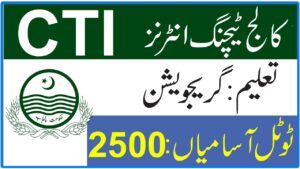 Government College Lecturer Jobs 2024 || All Subject Lecturer Jobs 2024