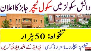 Punjab Danish Schools Jobs 2024 || Latest Advertisement || Download Application Form