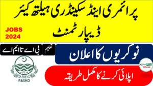 Punjab Primary & Secondary Health Care Department Jobs 2024 || Apply Online
