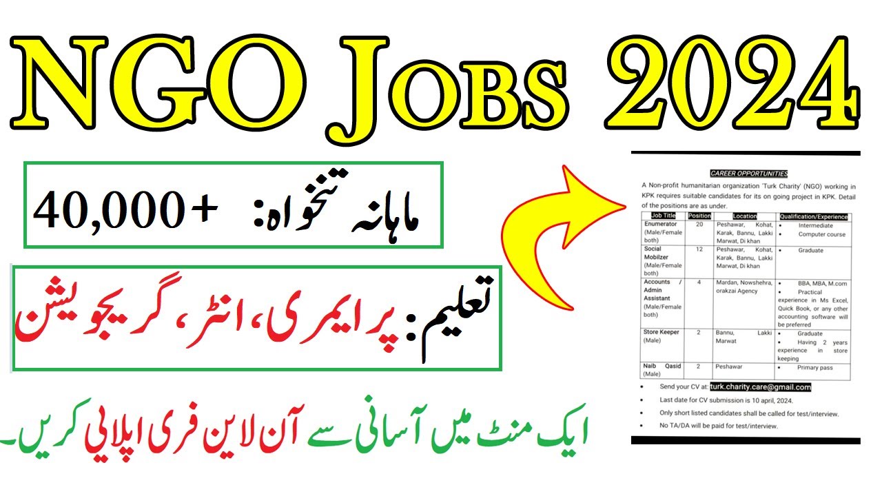 NGO Jobs 2024