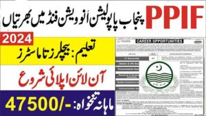 Punjab Population Innovation Fund Jobs 2024 | PPIF Career Opportunities