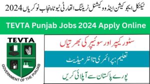 Technical Education & Vocational Training Authority TEVTA Punjab Jobs 2024