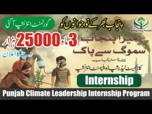 CM Punjab Climate Leadership Development Internship Program 2024
