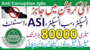 Anti Corruption Department Punjab Jobs 2024