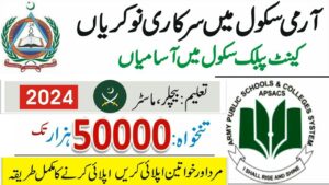 Army Public School & College APS Islamabad Jobs 2024