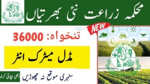 Agriculture Department Punjab Jobs 2024 August Online Apply