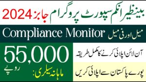 Benazir Income Support Programme BISP Jobs 2024